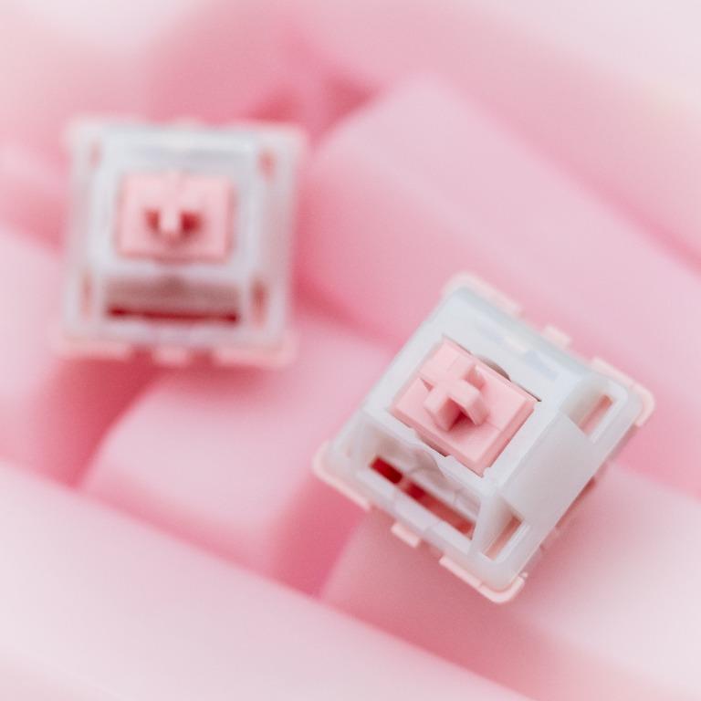ALS Switches